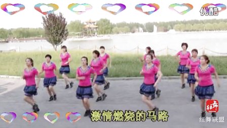 广场舞视频大全,2017年最新广场舞下载,学跳广