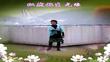 广场舞视频大全,2017年最新广场舞下载,学跳广