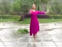 雨夜广场舞 都说 第二版 含分解教学 分解动作 mp4