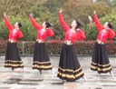 茉莉广场舞 是风是雨唢呐 新疆民族舞 含教学 分解动作 mp4
