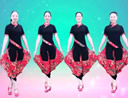 雨夜广场舞 一起玩出好时光 含教学 分解动作 mp4