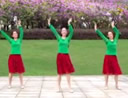 雨夜广场舞 蝶恋舞 含动作分解教学 分解动作 mp4