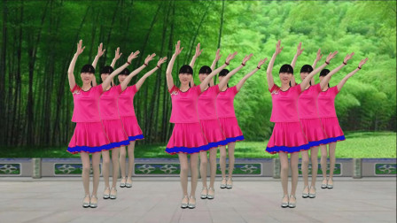 草原歌曲广场舞 中国美草原美 歌声悠扬动听 舞步简单特好看！