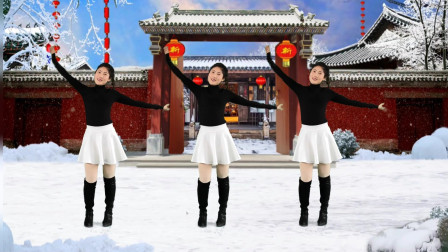 红豆广场舞精选 又见雪花飞 自由舞步32步！