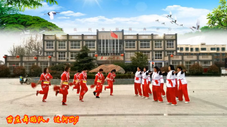 苗庄舞蹈队 过河DJ 网红超火百看不厌 老少都喜欢看团队版