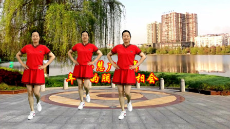 小慧广场舞 年轻的朋友来相会 零基础28步 舞步欢快歌声优美！