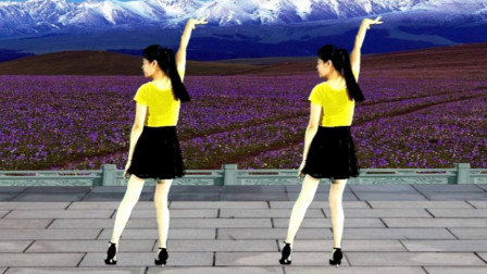 全网都在跳 唱起你的时候我想起了家 64步 荞麦花 背面 鹤塘紫儿广场舞