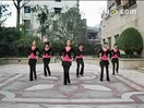 姜堰广场舞伤不起 琴韵健身舞队2013高清版