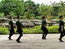 广场舞《微山湖》舞蹈视频