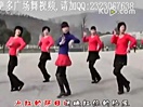 2013动动广场舞《天马》舞蹈含字幕