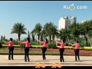 广场舞《孔雀公主》舞蹈视频