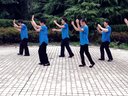 凤林广场舞 荷塘月色 团体广场健身舞