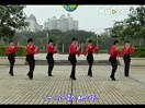 坚真公园广场舞 新走西口 团体瘦身舞视频