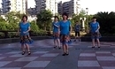 百合广场舞 最炫民族风 中老年团体健身舞蹈