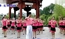 湘潭舞怪广场舞 微山湖 团体舞蹈自拍视频