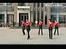广场舞最新舞蹈 山里红 2014团体广场健身舞