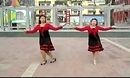 美丽一生广场舞 今夜舞起来 双人舞蹈视频欣赏