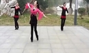 刘荣广场舞《中国Style》梅子视频制作