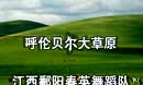 刘春英广场舞《呼伦贝尔大草原》春英老师改编指导