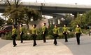 清雅广场舞《女学生》排舞舞蹈视频