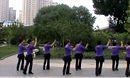 天津清雅广场舞 天上没有北大荒 中老年舞蹈健身队