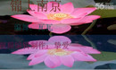 挚爱广场舞 锦上南京 瓦瓦编舞