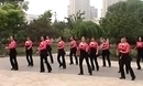 清雅广场舞《日本恰恰》排舞视频