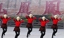 凤凰香香广场舞 动感小子 2013年舞蹈作品