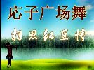 応子广场舞 相思红豆情（雨夜合作版）