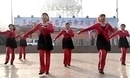 裕华区栗之春舞蹈队 江南style 藁城市第一届广场舞友谊比赛