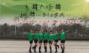 飞舞广场舞 排舞 《别碰我》原创附带背面口令分解教学