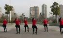 滨海神韵清水湖广场舞 今夜舞起来