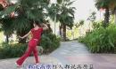 瑞金丽萍魅力广场舞 高原蓝 含正反面分解动作和背面演示