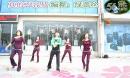 温州张林冰广场舞 健身舞 《真的不容易》原创DJ 含正背面