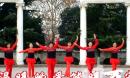 平顶山乐福姐妹清儿广场舞《习大大爱着彭麻麻》