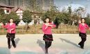 茉莉花絮广场舞 习大大爱着彭麻麻 三人版