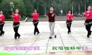 广西廖弟健身舞队《中国style》附背面 歌词字幕