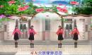 追梦广场舞 习大大爱着彭麻麻 编舞：可爱玫瑰花制作：龙虎影音
