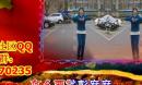 新兴快乐广场舞《习大大爱着彭麻麻》月华演示双人版