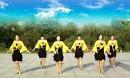 龙湾头广场舞真的不容易、向甜编舞