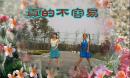 紫风铃广场舞《真的不容易》
