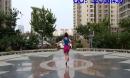 舞动清风广场舞《跳到北京》分解动作舞蹈教学