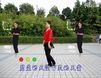 小丫广场舞、牧羊姑娘
