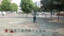 武汉市黄陂区李集街芳姿梦舞蹈队《天长地久》芳姿梦广场舞