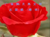 学于万年青广舞、月亮女神、反面跳歌词　