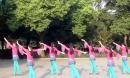 张春丽广场舞 《梨花情》杭州队演绎、编舞：张春丽