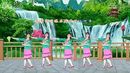 桃之花广场舞 《月亮女神》
