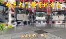梅子广场舞 林子大了都有什么鸟
