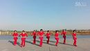 茌平县广场舞陶桥村广场舞、你牛什么牛