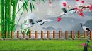 千岛湖栗园广场舞 《花桥流水》